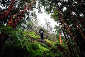 BIB: 
                            <button type="button" onclick="openModal(26202142)" class="btn btn-primary btn-sm float-right btn-popup" data-toggle="modal" data-target=".modal-high-quality">
                        <i class="fas fa-shopping-cart"></i> Add to Cart
                    </button>
                                            <button type="button" onclick="isThisMe(26202142, true)" class="btn btn-success btn-sm float-right btn-popup btn-isme hidden" data-toggle="tooltip" data-placement="bottom" title="นี่คือรูปของคุณใช่ไหม คลิกที่นี่เพื่อเอาเข้าอัลบั้ม">
                        <i class="fas fa-plus"></i> Add to album
                    </button>
                    <button type="button" onclick="isThisMe(26202142, false)" class="btn btn-warning btn-sm float-right btn-popup btn-isnotme hidden">
                        <i class="fas fa-ban"></i> Remove from album
                    </button>